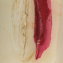 Wachs & Gips Bilder