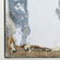 Antje Dienstbir_ Gips_Inkjet print_Papier