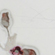 Antje Dienstbir_ Gips_Zeichnung_Farbk�rper